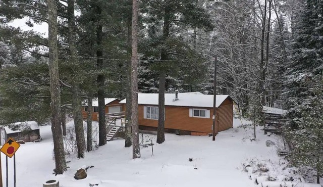 Deep Forest Cabin in Minnesota’s Arrowhead