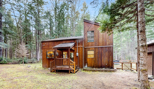 Dog-friendly forest cabin with private hot tub, gorgeous deck & fireplace in Enumclaw