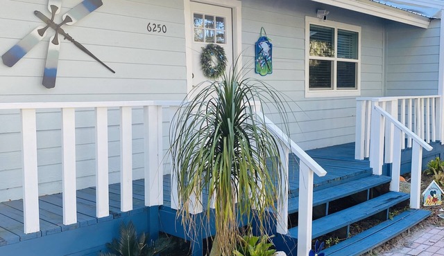 “Dragonfly Camp” Springs Paradise!