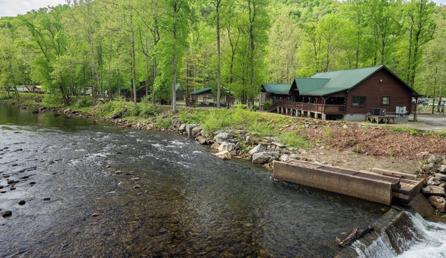 Fall Foliage Riverfront Cabin w/Hot Tub, King Bed, EV & Firepit & Mountain Views in Elkins