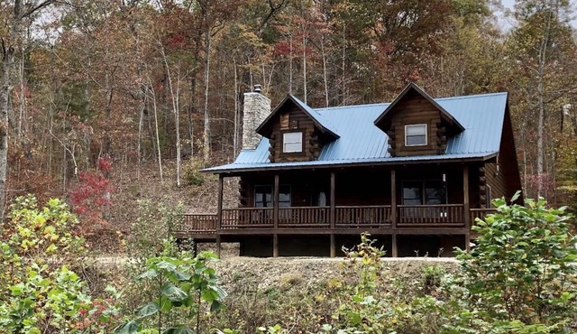 Gorgeous, tree top views from this cabin
