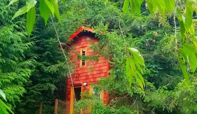 Idyllic Tree House Rental with a Cozy Fireplace in Snohomish, Washington