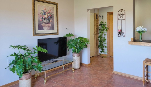 Independent apartment, 2 big beds, kitchen, laundry, parking space, pets allowed