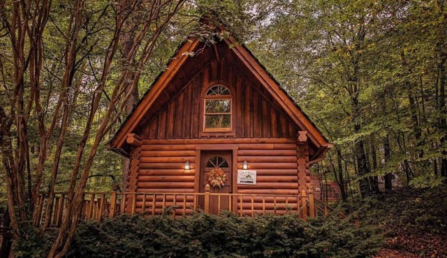Ivy quaint tiny cabin creekside - Riverside Resort