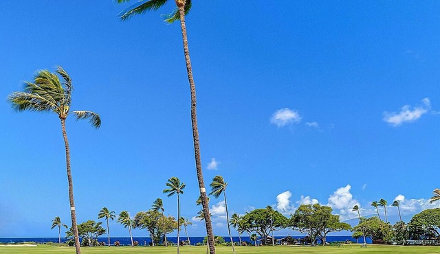 Kāʻanapali Ocean View Condo with Beachfront Cabana for Guests