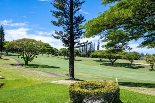 Kapalua Golf Villas 6 FREE Rental Cars KBM Resorts Large Bedrooms 6 Units 11 Bedrooms ML-2354