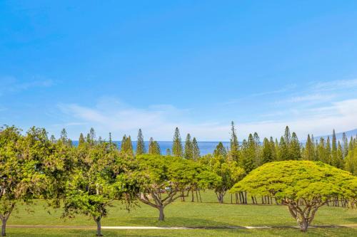 Kapalua Golf Villas 6 FREE Rental Cars KBM Resorts Large Bedrooms 6 Units 8 Bedrooms ML-2363