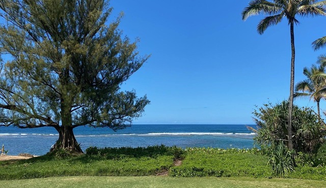 Kauai North Shore Oceanfront - Mountain View Beachouse TVNC#1136 Tsunami Zone