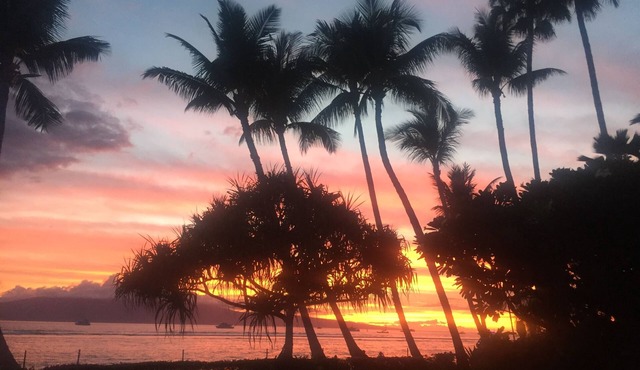 Lahaina Shores Studio, Maui Oceanfront Resort.