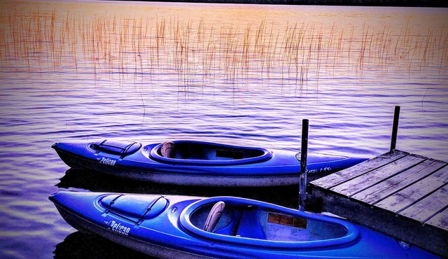 Lake front Cabin: Modern, Comfortable, Secluded. Great fishing & boating.