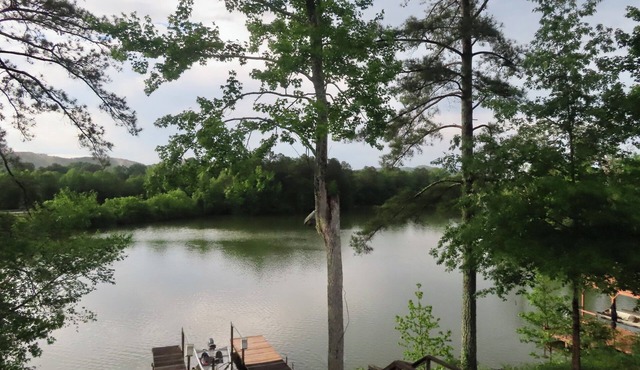 Lake life at its best. Lots of options for activities. Very pet friendly!