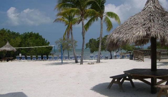 LICENSED MGR - MODERN OCEANFRONT - OCEAN VIEWS CONDO! BAR and BEACH RESORT! in Key Largo