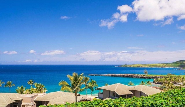 Luxury Ocean/Island View Kapalua Ridge 2914