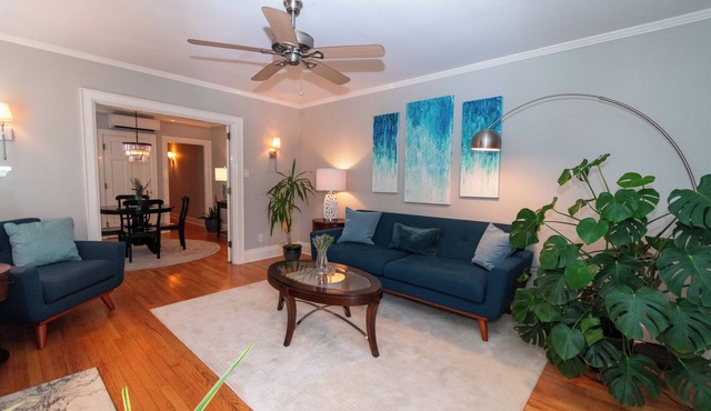 Luxury on Main/North