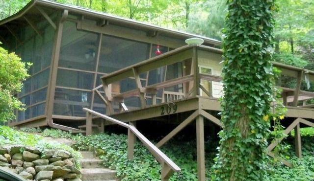 Mathews' Mansion, a cabin by a lake 163 Santeetlah Trail is corrected address