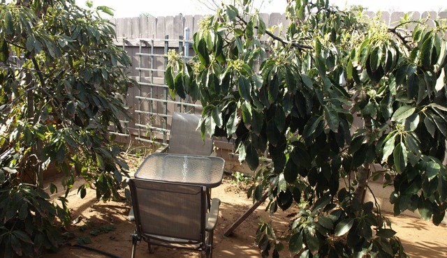 Modern Luxury Guest House- Near Beaches, Bay, UCSD, Hospitals!