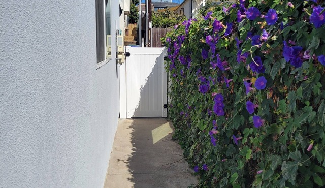 New, chic, large, safe, and convenient studio near the San Diego Bay w/AC, WiFi
