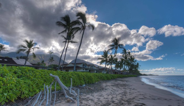 OCEANFRONT PUAMANA 136-1 - FUN IN THE SUN!