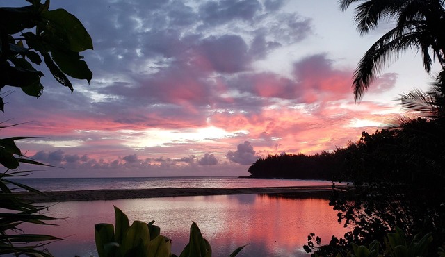 Oceanfront Views * 3 Bedrooms With Baths * All Remodeled * Fabulous Beaches !