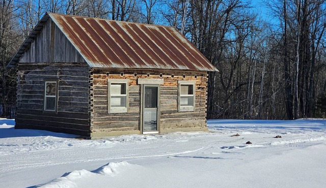 Original Hand-Hewn, Cedar, Log Cabin. Restored 1-bedroom on St. Louis River.