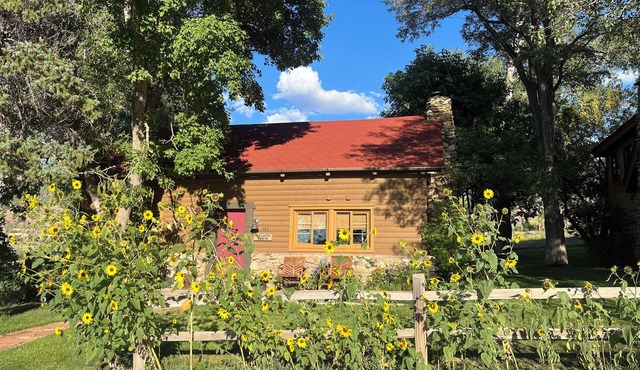 Pack Creek ~ Meadow House: Boho mountain oasis with fireplace, patio views, and stargazing bed