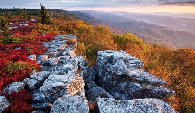 Panoramic Paradise Cottage - Stunning View of Seneca Rocks from Porch