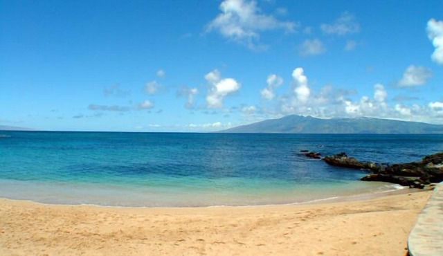 Paradise Found