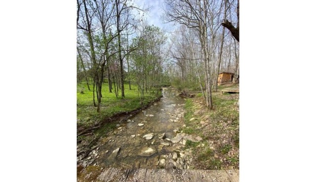 Peaceful cabin with creek view near Serpents Mound