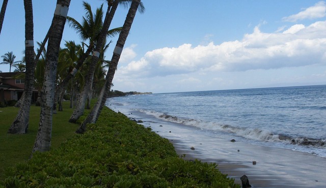 PUAMANA 2 BR PREMIER UNIT 200 Ft. from Ocean 153-6