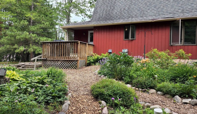 Quiet Cottage in the Woods on the Edge of Town