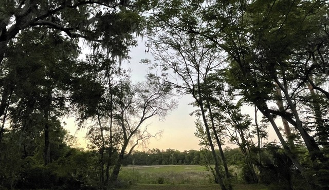 Retired Disney cabin in silver springs