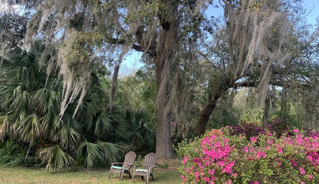 Rocket & Nature Lovers! Vintage European Cottage in a lush Florida Setting