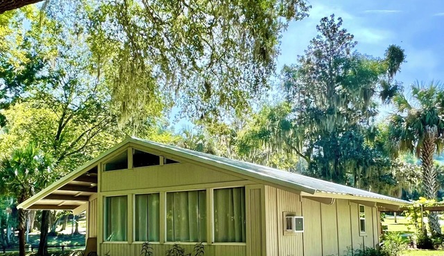 Rustic River Cabin - Shell Harbour on the St Johns River - Pet Friendly