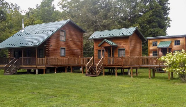 Scenic Log Cabin with Fire Pit & Stocked Creek!