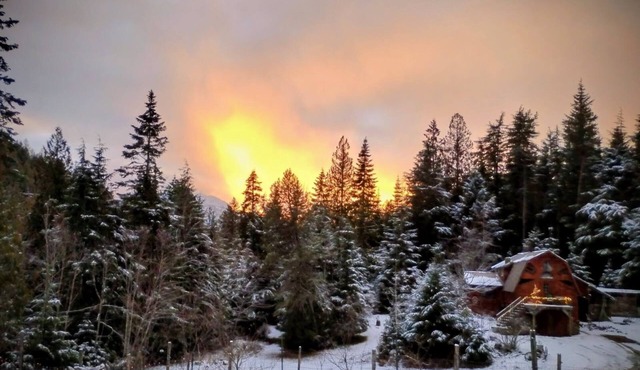 Secluded Cozy Log Cabin in Clark Fork