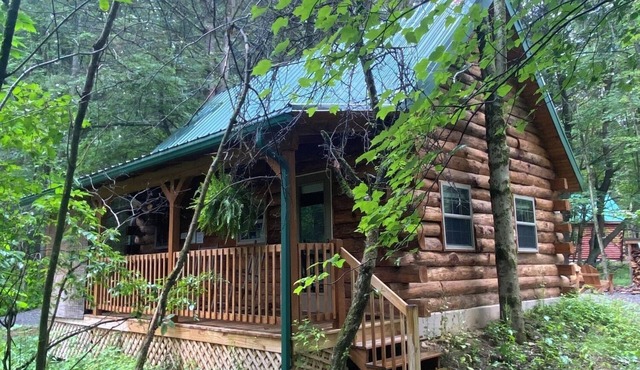 Sleepy Bear Log Cabin near Cook Forest State Park