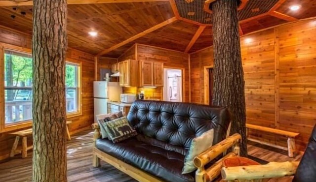 Tree House Deluxe Cabin w/bath - Glamping with real trees growing in the center of the cabin!