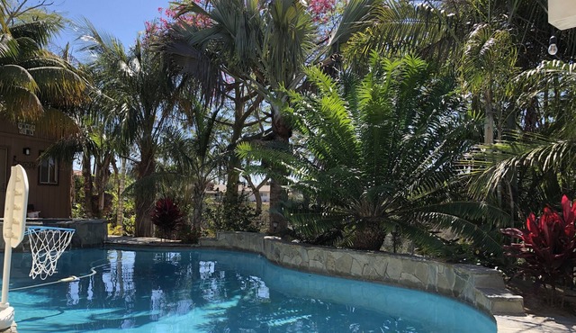 Tropical Retreat w/ Pool and Spa
