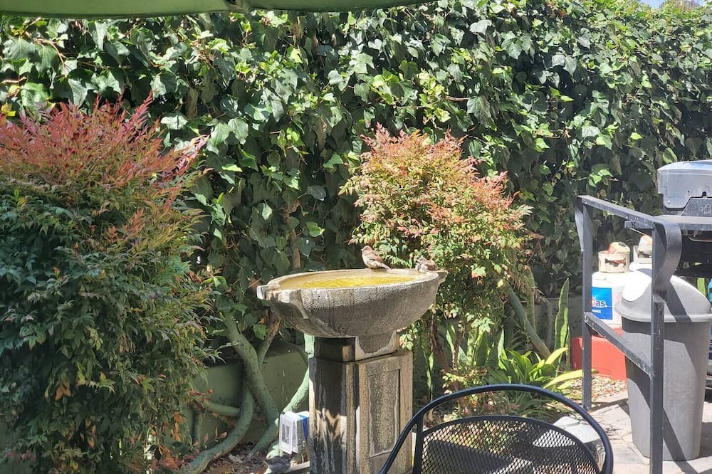 Photo of Patio Balcony in Civic Core