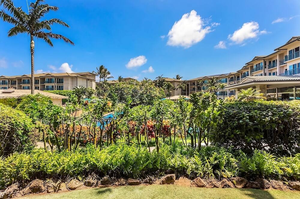 Photo of Outdoor in Wailua