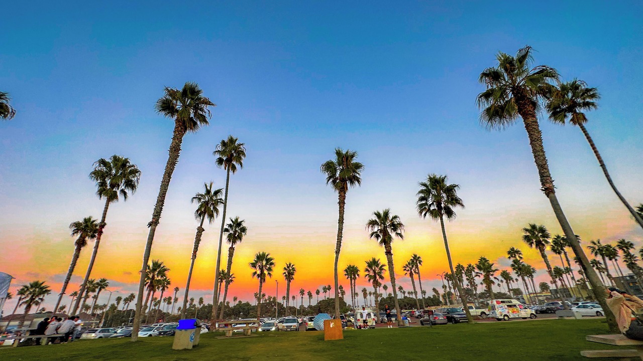 Photo of Others in Mission Beach