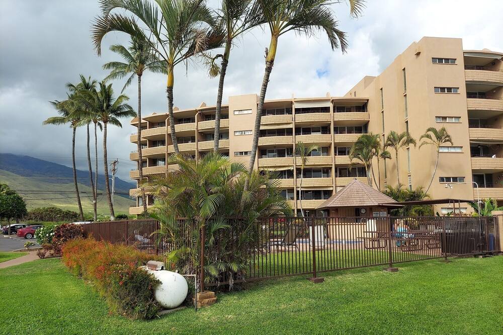 Photo of Others in Maalaea