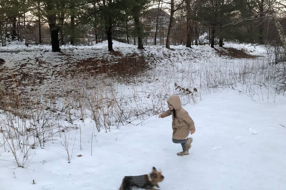 Photo of Others in North Creek