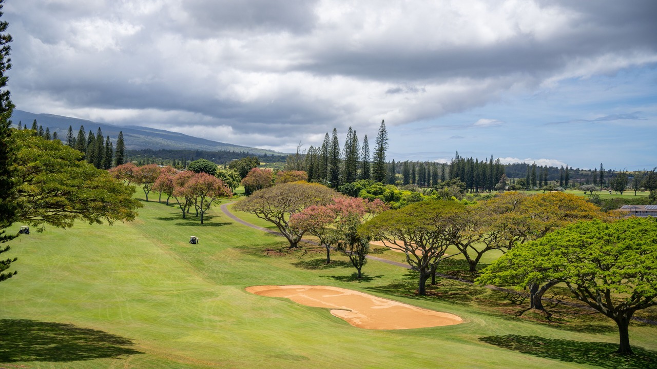 Photo of Others in Napili