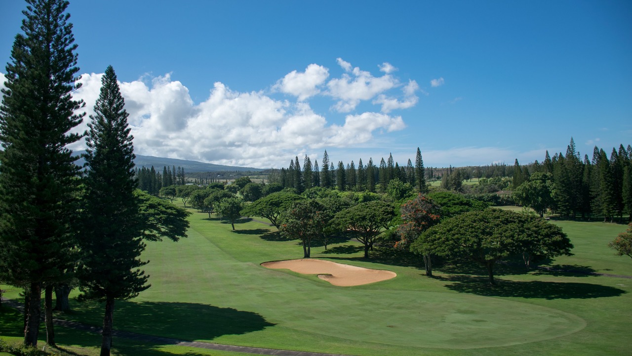 Photo of Others in Napili