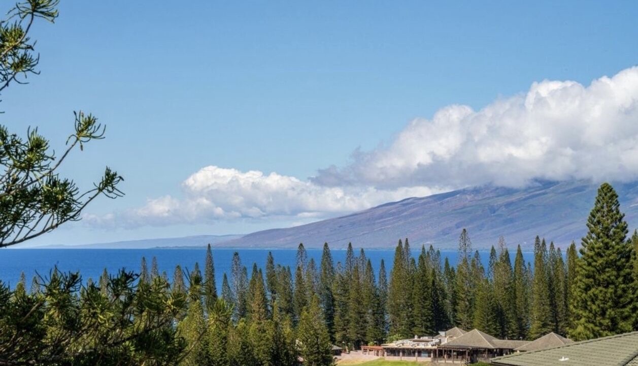 Photo of Others in Kapalua