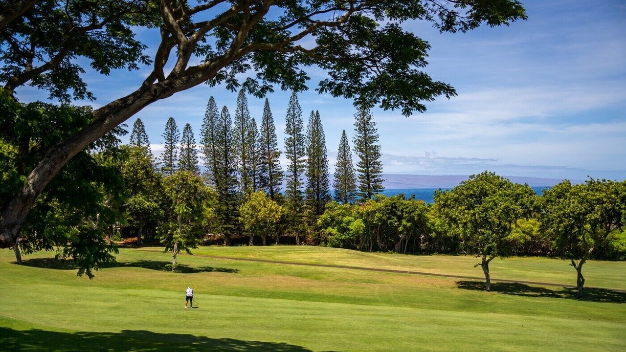 Photo of Others in Kapalua