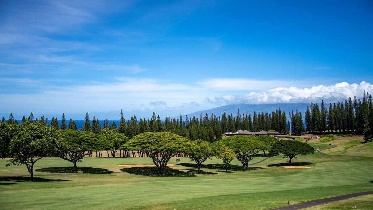 Photo of Others in Kapalua