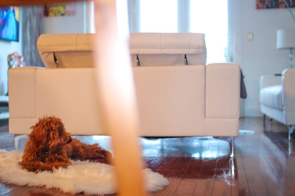 Photo of Livingroom in Mechanicsville