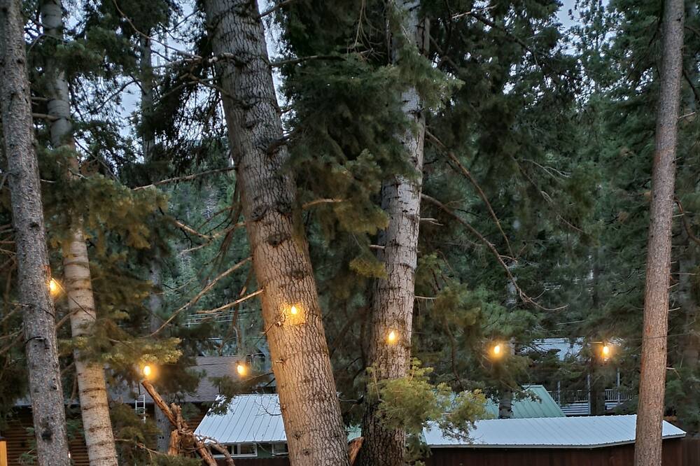 Photo of Outdoor in Mount Charleston